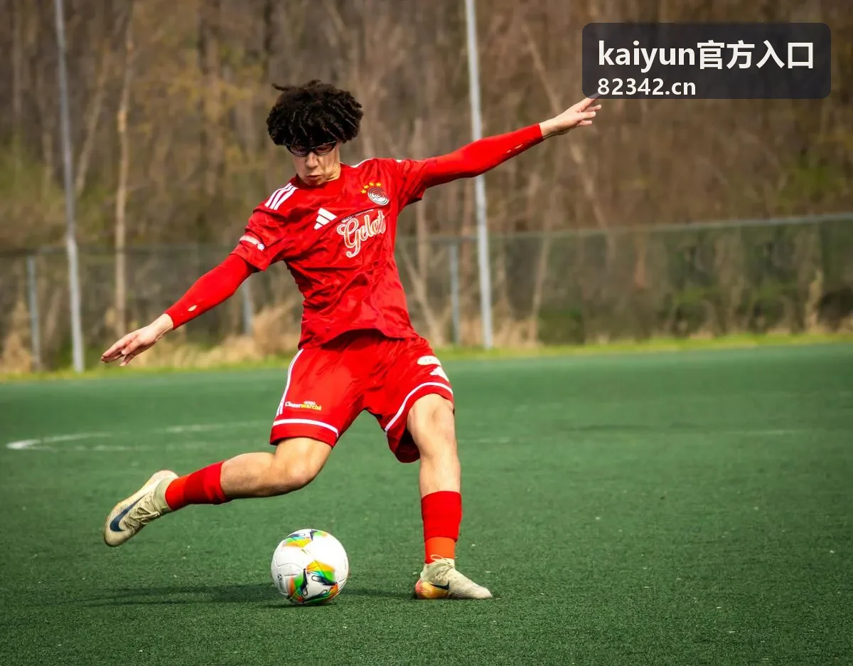 kaiyun官方入口官方入口导航合集封面图
